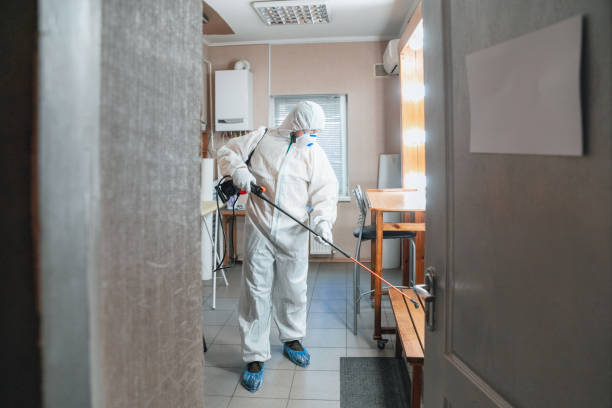 Best Residential Mold Inspection & Testing  in Llington, MI
