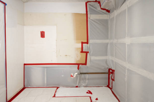 Best Mold Remediation for Healthcare Facilities  in Llington, MI