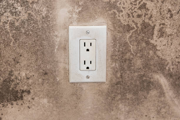 Best Post-Construction Mold Inspection  in Llington, MI